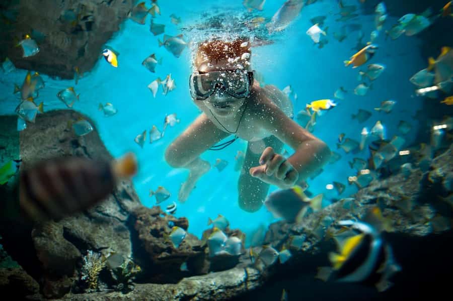 Sharm El Sheikh: Luxury boat Cruise with Snorkeling & Lunch - What to bring, what not to bring, and small prep wins