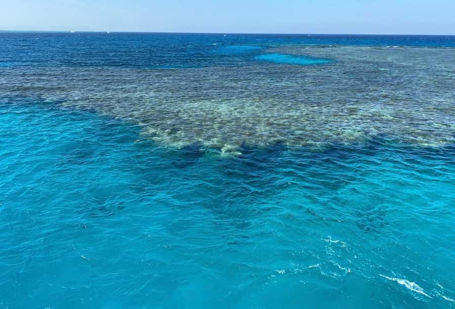 Sharm el-Sheikh: Premium Ras Mohammed & White Island Cruise - Snorkeling Stops: How to Make the Most of Your Reef Time