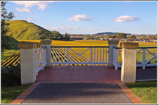 Shore Excursion: Napier/ Hawke's Bay & Premium Wineries tour - Value check: is $96.19 worth it?