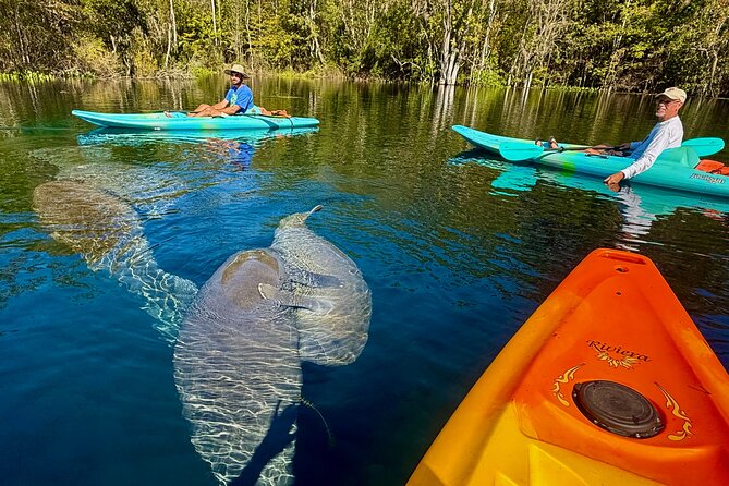 Silver Springs Premium Florida Wildlife Experience! - Price and What You Actually Get for $65