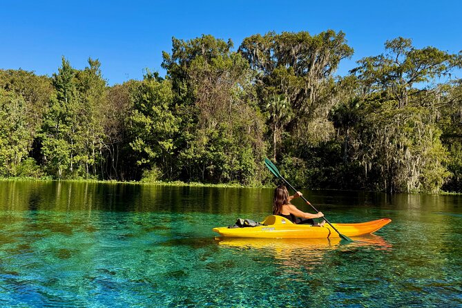 Silver Springs Premium Florida Wildlife Experience! - Paddling Setup: Included Gear and What to Bring
