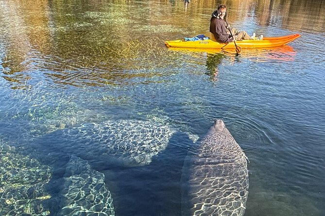 Silver Springs Premium Florida Wildlife Experience! - Group Size and the Benefits of Not Being Crushed
