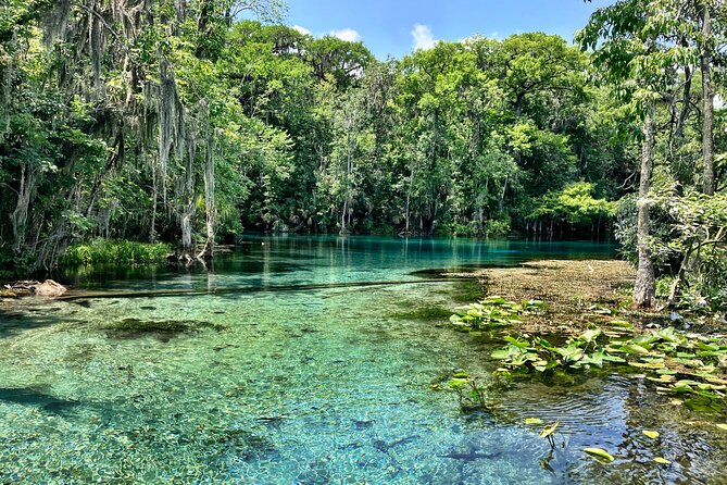 Silver Springs Premium Florida Wildlife Experience! - Meeting Point Reality: Where to Start Without Stress