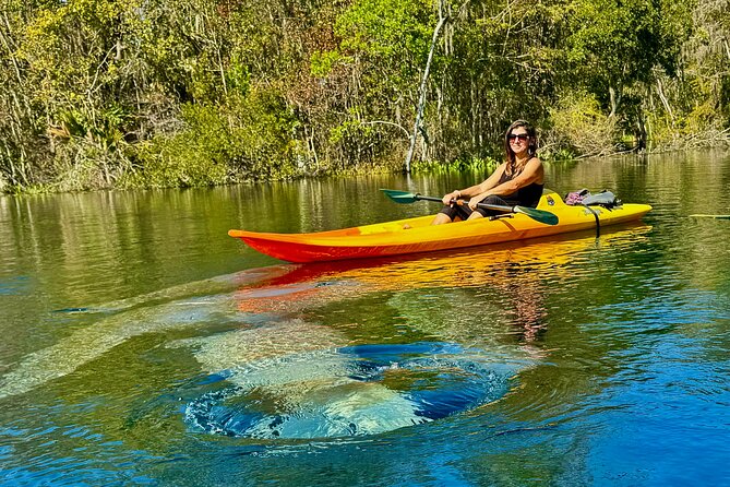 Silver Springs Premium Florida Wildlife Experience! - Silver Springs Kayaking: A Calm Two-Hour Rhythm
