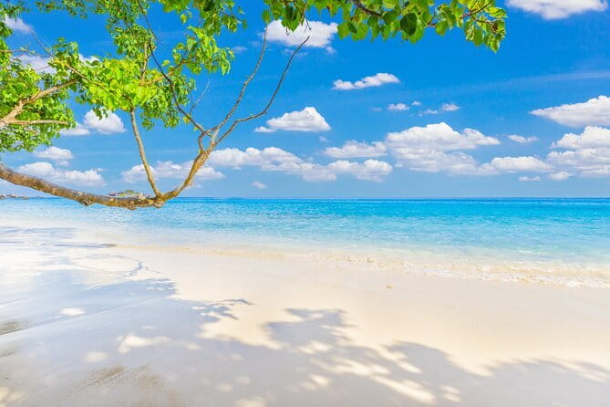 Similan Islands Full Day - Premium - Snorkeling timing and gear: how to judge what you’ll get