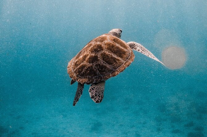 Similan Islands Luxury Catamaran Day Tour (Phuket / Khao Lak) - Group size and onboard feel: up to 50 people