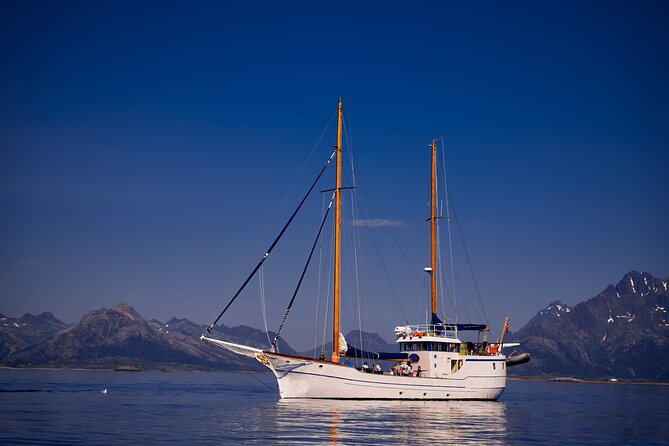 Small Group Luxury Cruise to Trollfjord on a 33m Classic Yacht - Trollfjord: the short ride that makes the scenery feel cinematic