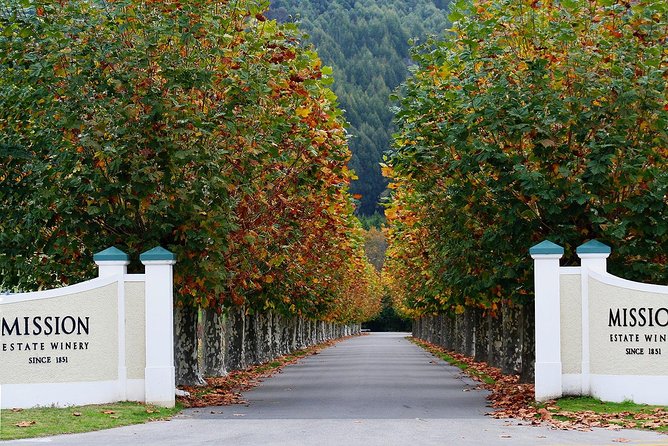 Small group - Napier Premium Wineries+ Beer tour -5.0 - 5.5 hours - Price and value: is $136.53 worth it?