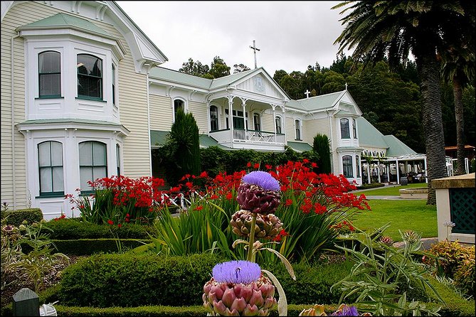 Small group - Napier Premium Winery , Beer & Cider + 5.5h to 6h. - Lunch with cheese platters or pizzas: the reset you’ll want