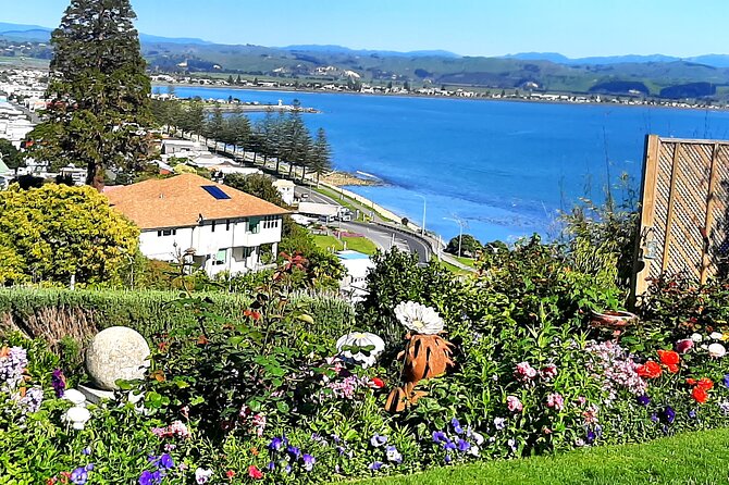 Small group - Napier Premium Winery , Beer & Cider + 5.5h to 6h. - Who this tour fits best (and who should choose another day)
