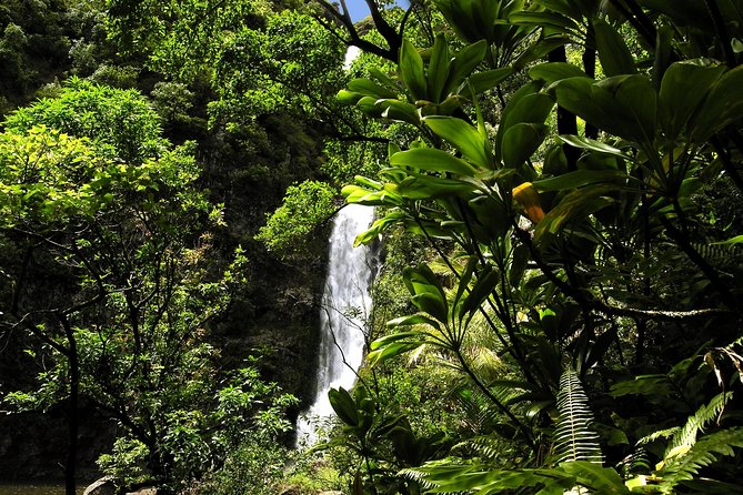 Small-Group Road to Hana Luxury Tour - Kaumahina State Wayside Park: peninsula views in about 15 minutes