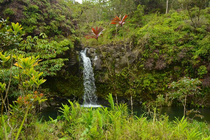 Small-Group Road to Hana Luxury Tour - Ke‘anae Point: taro fields, black lava, and surf drama