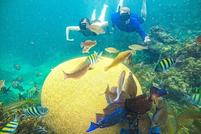 Snorkel Lovers for All Ages & Premium Seafood Lunch in Punta Cana - Key things you’ll notice on this Punta Cana catamaran day