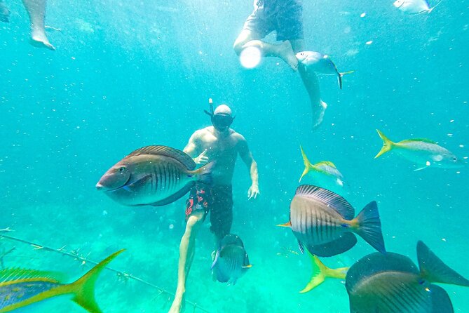 Snorkel Lovers for All Ages & Premium Seafood Lunch in Punta Cana - Coral Nursery Snorkel: One Full Hour at a Protected Restoration Zone