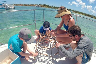 Snorkel Lovers for All Ages & Premium Seafood Lunch in Punta Cana - Marine Biologist Talk: Coral Restoration in Plain, Human Terms