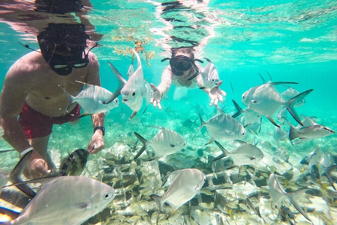 Snorkel Lovers for All Ages & Premium Seafood Lunch in Punta Cana - Back at the Natural Pool: Floating Lunch, Boat Slide, and Real Downtime