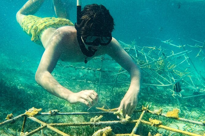 Snorkel Lovers for All Ages & Premium Seafood Lunch in Punta Cana - Photos, Snacks, and the Little Details That Make It Feel Organized