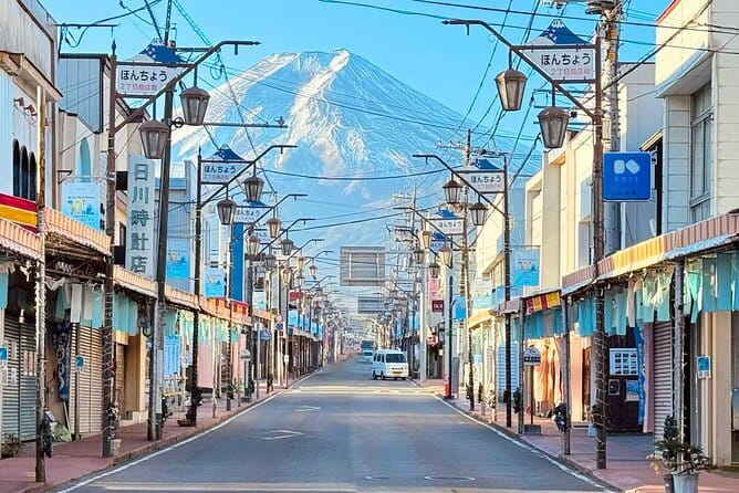 Snow Experience at Mt.Fuji, Hakone Pirate Ship & Gotemba Premium Outlet - Group-Day Logistics: Mobile Ticket, Translation, and How to Prevent Hassle