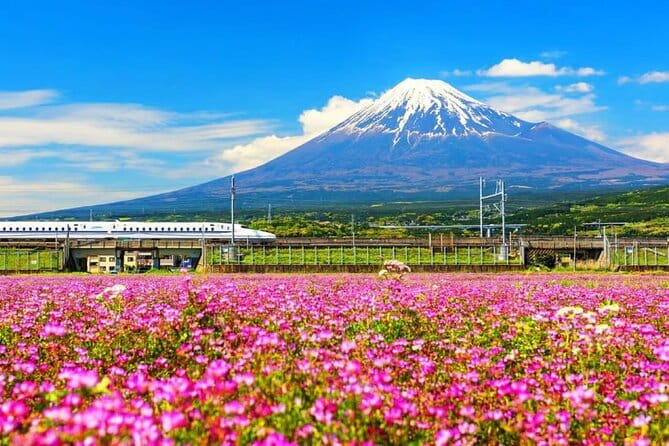 Snow Experience at Mt.Fuji, Hakone Pirate Ship & Gotemba Premium Outlet - Weather Reality: You Might See Mt Fuji, You Might Not