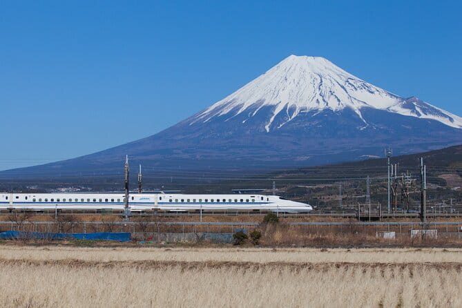 Snow Experience at Mt.Fuji, Hakone Pirate Ship & Gotemba Premium Outlet - Who This Tour Fits Best (and Who Should Pass)