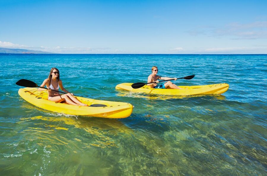 South Maui: Premium Turtle Town Kayak and Snorkel Tour - Snorkeling Turtle Town: turtles, reef fish, and learning what you’re seeing