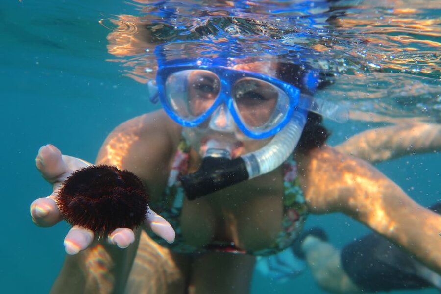 South Maui: Premium Turtle Town Kayak and Snorkel Tour - Winter whale possibility: how this tour turns into a double-feature