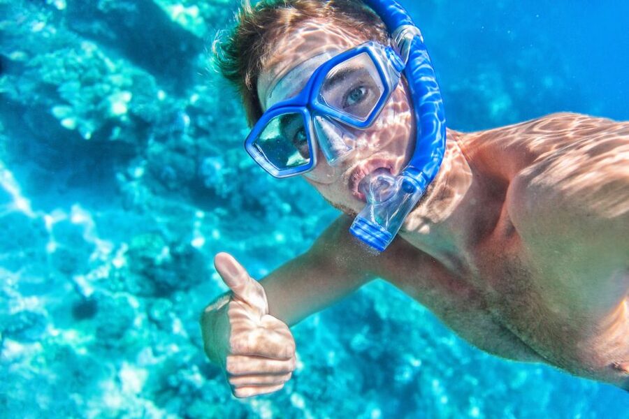 South Maui: Premium Turtle Town Kayak and Snorkel Tour - Guides, gear, and safety: the difference between stressful and smooth