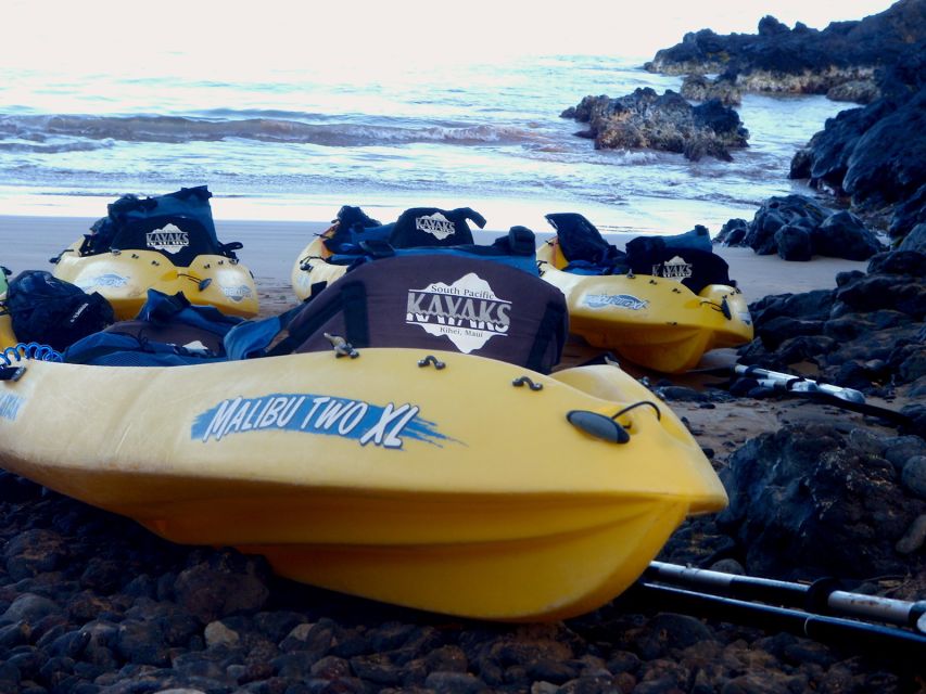 South Maui: Premium Turtle Town Kayak and Snorkel Tour - What’s included vs. what you must bring (so you don’t overpack)