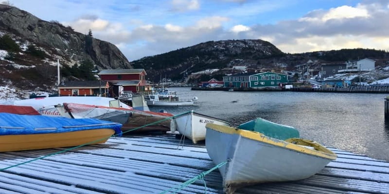 St Johns Premium Tour with Iceberg Quest Boat Cruise - Tips that actually help you enjoy it more
