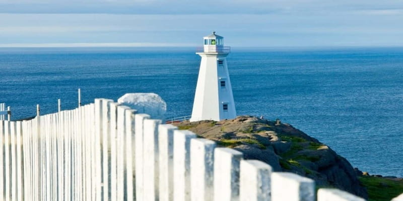St Johns Premium Tour with Iceberg Quest Boat Cruise - Price and value: what you’re paying for at $169