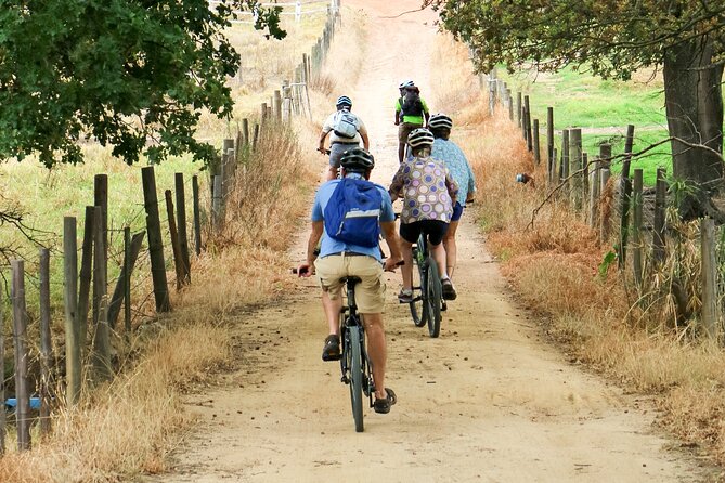 Stellenbosch Winelands Luxury EBike Tour © - Boschkloof Wines: Small Family Vines and Big Views