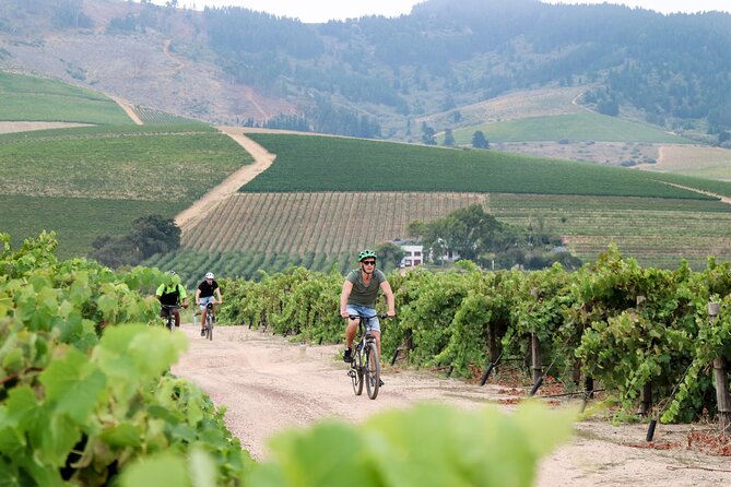 Stellenbosch Winelands Luxury EBike Tour © - De Waal Wines on Uiterwyk Estate: Hands-On Hospitality Since 1864