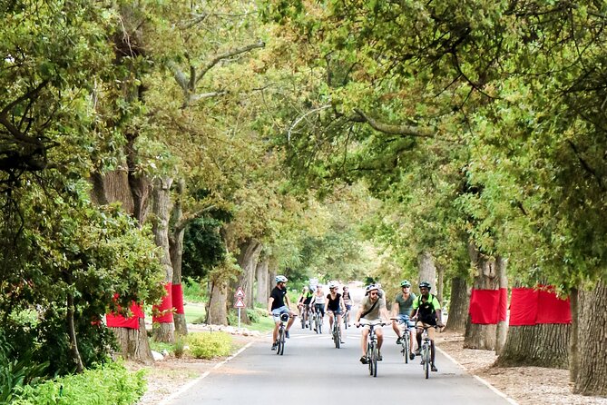 Stellenbosch Winelands Luxury EBike Tour © - Tastings, Snacks, and How to Pace Your Palate