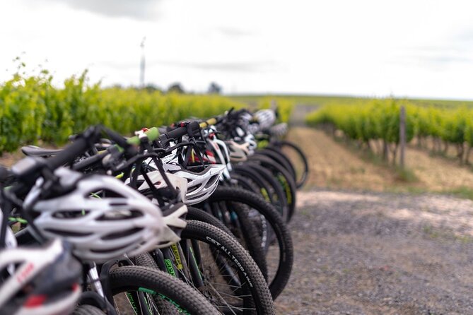Stellenbosch Winelands Luxury EBike Tour © - Guides and the Small-Group Advantage (Abi, Lee, Jordan, and Friends)