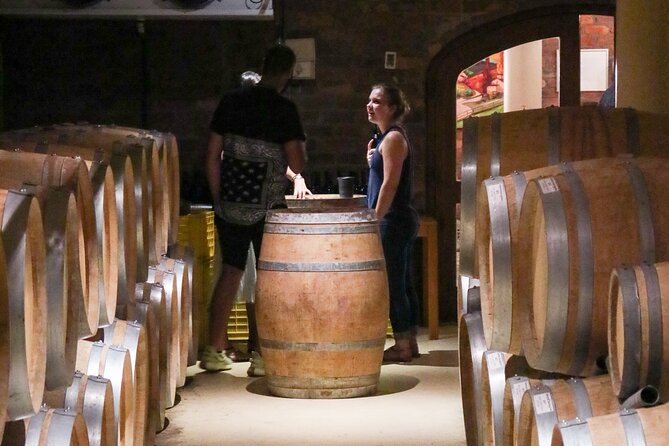 Stellenbosch Winelands Luxury EBike Tour © - Start Point at Skilpadvlei: Tortoises, Tradition, and Your First Pour