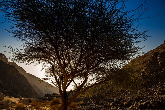 Sunset Luxury Experience to Dry Canyon Wadi Belli - Wadi Belly’s Dry Canyon: Fossils, Corals, and that Red Sea Clue