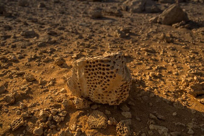 Sunset Luxury Experience to Dry Canyon Wadi Belli - Bedouin Family Visit and Village Snacks: Human Scale, Not a Show