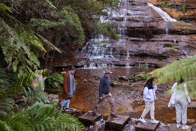 Sydney: Luxury Blue Mountains Adventure as a Small Group Day Tour - Key points to know before you go