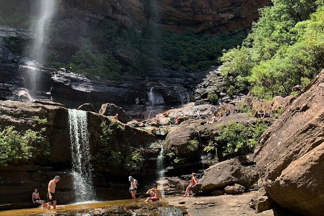 Sydney: Luxury Blue Mountains Adventure as a Small Group Day Tour - Luxury Blue Mountains day tour: what you really get for the $204