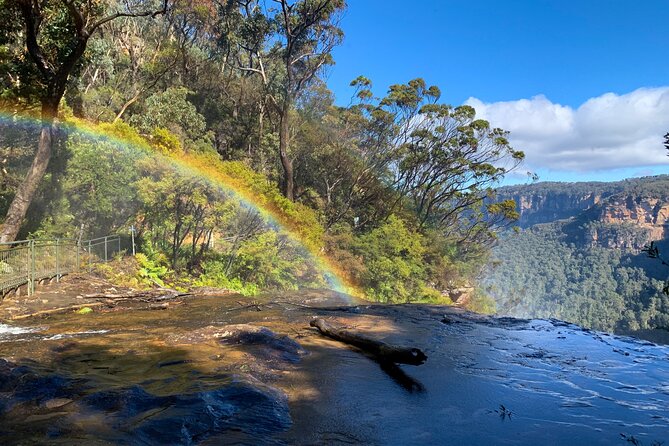 Sydney: Luxury Blue Mountains Adventure as a Small Group Day Tour - Featherdale Sydney Wildlife Park: the easiest win on a long day