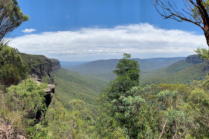 Sydney: Luxury Blue Mountains Adventure as a Small Group Day Tour - Wentworth Falls bush walk: tea-tree forests, fern gullies, and real effort