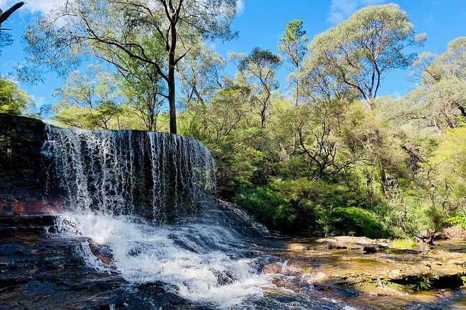 Sydney: Luxury Blue Mountains Adventure as a Small Group Day Tour - Leura Mall lunch break: one hour of food and breathing room