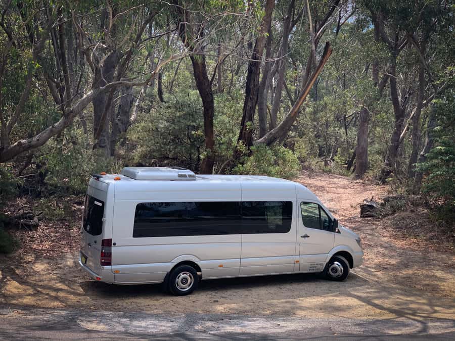 Sydney: Luxury Blue Mountains Adventure with Wentworth Falls - Leura Village lunch stop: shopping, coffee, and a real break from scenery