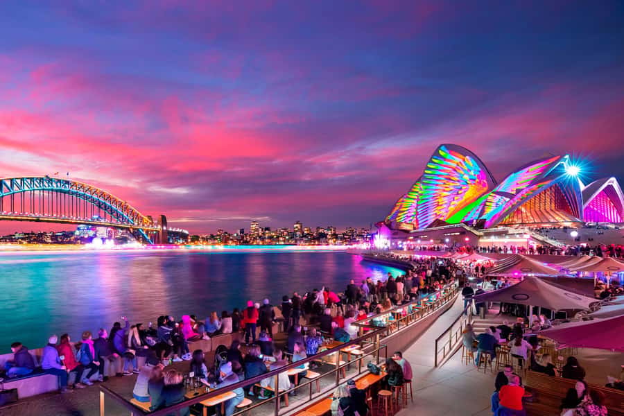 Sydney: Premium Catamaran Vivid Cruise with Welcome Drink - Small-Group Comfort on the Whitehaven Catamaran
