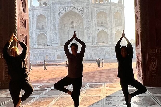 Taj Mahal skip the line luxury tour with guide - Agra Fort: beyond photos, with the Shah Jahan connection