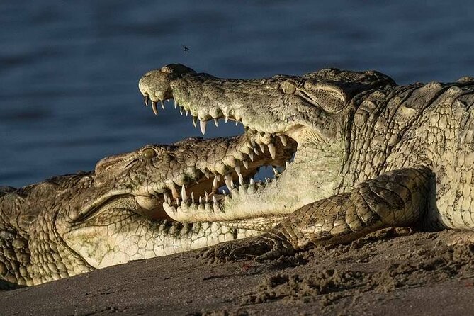 Tanzania Luxury Safari - Price and value: what $5,500 per person is buying you