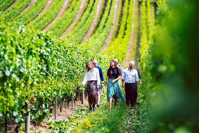 Tasmanian Premium Wine Tour with Tasmanian Cheese Platter - Key things to know before you go
