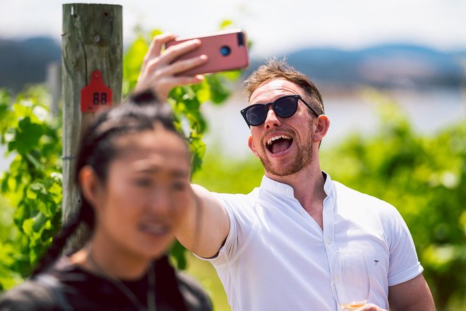 Tasmanian Premium Wine Tour with Tasmanian Cheese Platter - Price and value: what you’re paying for at $207.28
