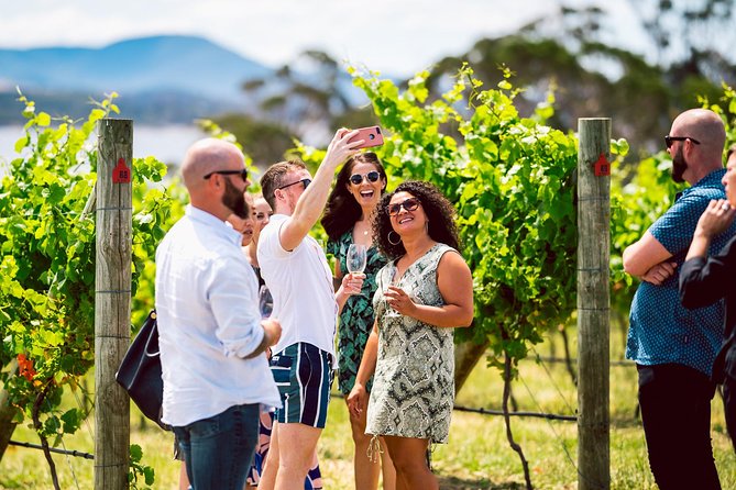 Tasmanian Premium Wine Tour with Tasmanian Cheese Platter - Who this wine and cheese tour is best for