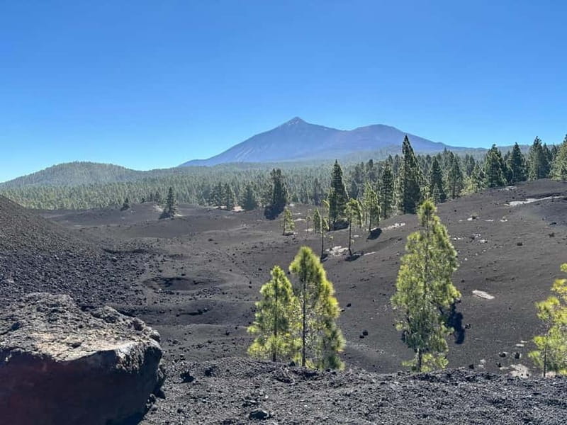 Tenerife: premium e-bike ride at Chineyro volcanic area - Premium full-suspension e-bikes: why this ride feels different